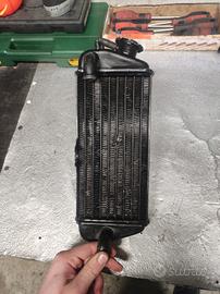 radiatore destro am6