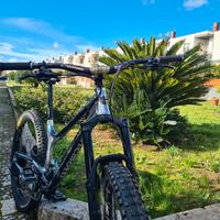 mtb Ancillotti scarab evo 29