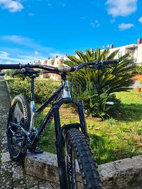 mtb Ancillotti scarab evo 29