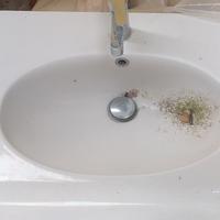 LAVANDINO BAGNO SOSPESO