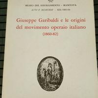 G Garibaldi e le origini del movimento operaio 