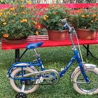 GRAZIELLA CARNIELLI MOD BABY 