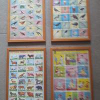 Quadri con stampe indiane