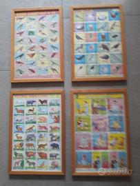 Quadri con stampe indiane