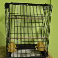 Gabbia pappagalli