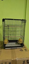 Gabbia pappagalli