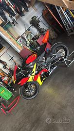 R6 solo uso pista