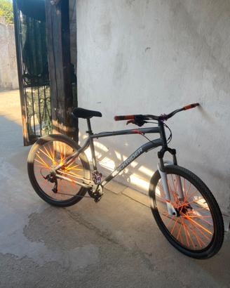 Rokrider st 120 mafia bike
