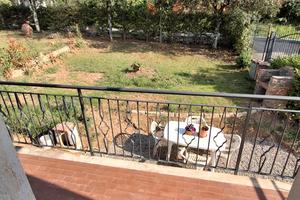 appartamento Siena nord campagna