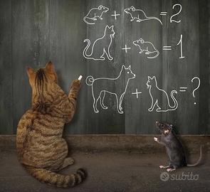 Insegnante pef ripetizioni matematica