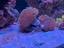Immagine 5