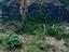 Immagine 18