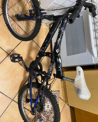 Bicicletta