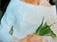 Immagine 2