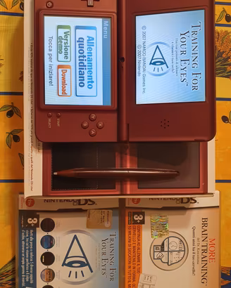 Nintendo DS XL