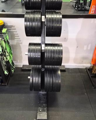 rastrelliera panatta  porta dischi palestra