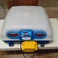 Incubatrice borotto 