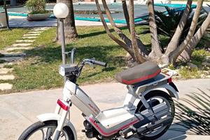 Atala idea