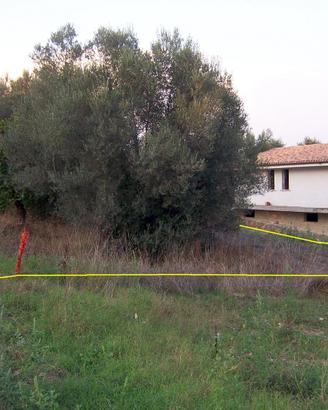Terreno agricolo via di Boccea- Casalotti