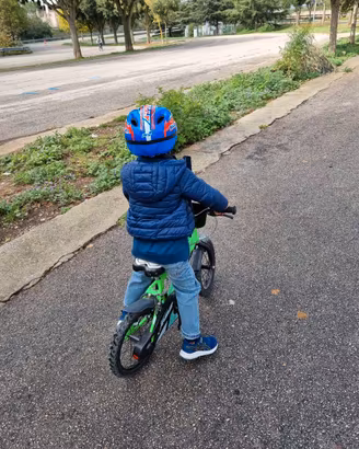 bici dino bikes 14'