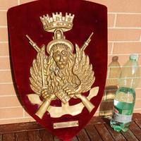 Marina militare scudo Battaglione Anfibio Piave