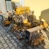 TAGLIAERBA FALCONERO