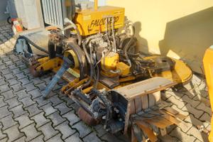 TAGLIAERBA FALCONERO