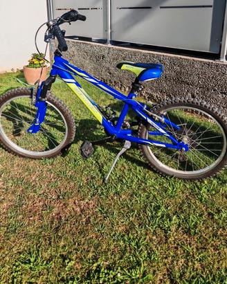 Bicicletta da bambino 20