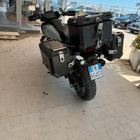 Harley dv