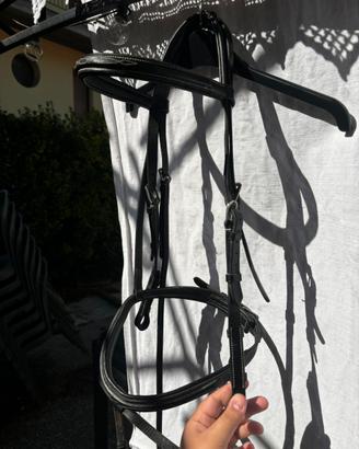 testiera prestige cavallo