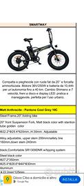 bici elettrica 