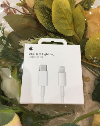 Apple Cavo da USB‑C a Lightning (1 m)