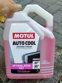 10 l di liquido refrigerante Motul Autocool G 12