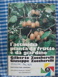 L'ACTINIDIA PIANTA DA FRUTTO E DA GIARDINO