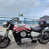 Kawasaki vn 1500 mean streak