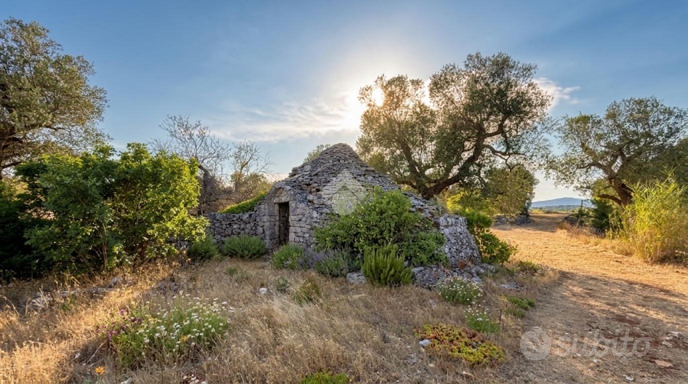 RUSTICO A CEGLIE MESSAPICA - Altro