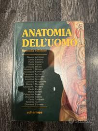 Medicina/Prof Sanitarie Anatomia  dell’uomo ermes