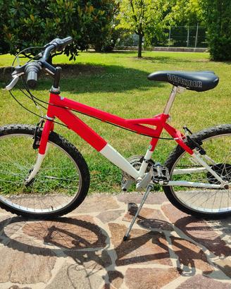 Bicicletta