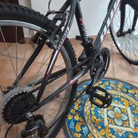 Bicicletta MTB  Rush R 2400