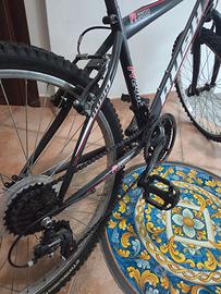 Bicicletta MTB  Rush R 2400