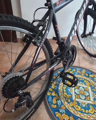 Bicicletta MTB  Rush R 2400