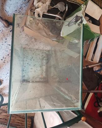 acquario 250 litri