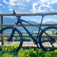 Mountain bike Focus in carbonio