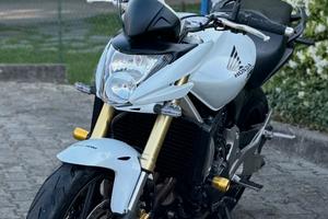 Hornet 600