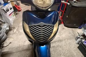SH 125 2006
