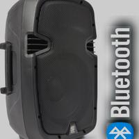 Cassa karaoke Bluetooth