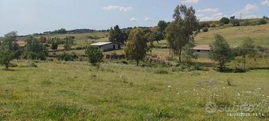Terreno ideale per azienda agricola