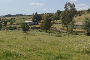 Terreno ideale per azienda agricola