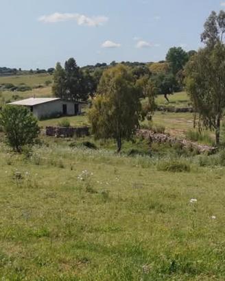 Terreno ideale per azienda agricola