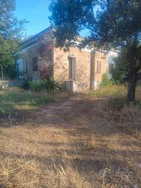 Casa vacanza 100mt dal mare